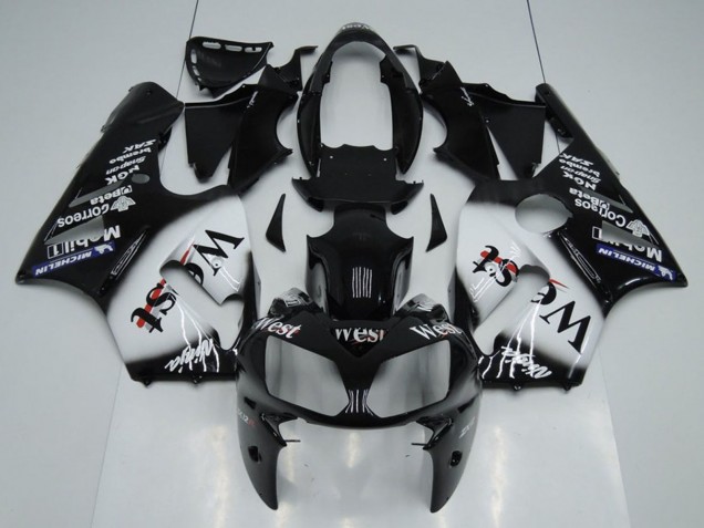 2002-2006 Kawasaki ZX12R Motorcycle Fairings - Glossy Black White West Canada for Sale