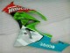 2009-2012 Kawasaki ZX6R Motorcycle Fairings - Green White Red Black Blue Motocard Canada for Sale