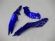 2013-2024 Kawasaki Ninja 300 EX300R Motorcycle Fairings - Blue Black White Flame Canada for Sale