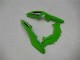 2013-2024 Kawasaki Ninja 300 EX300R Motorcycle Fairings - White Green Black Canada for Sale