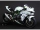 2015-2022 Kawasaki Ninja H2 Motorcycle Fairings - White Silver Green Canada for Sale