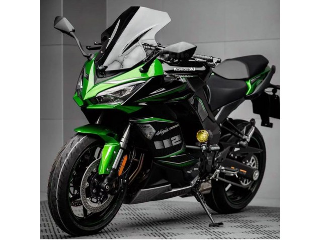 2020-2025 Kawasaki Z1000SX Motorcycle Fairing - Black Green Ninja Canada for Sale