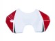 2018-2019 Ducati Panigale V4 V4S Motorcycle Fairings - White Red Green Glossy Black Canada for Sale