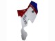 2005-2010 BMW K1200S Abs Fairings - White Red Blue Canada for Sale