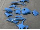 2023-2024 BMW S1000RR Motorcycle Fairings - Glossy Blue Canada for Sale
