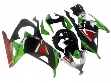 2013-2024 Kawasaki EX300 Motorcycle Fairings - Green White Red Black Elf Canada for Sale