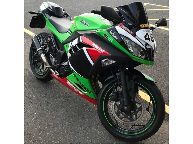 2013-2024 Kawasaki EX300 Motorcycle Fairings - Green White Red Black Elf Canada for Sale