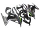 2013-2024 Kawasaki EX300 Motorcycle Fairings - Glossy Black Matte Black Green Canada for Sale