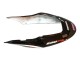 2004-2007 Honda CBR600 F4i Motorcycle Fairings - White Glossy Black Red Repsol Canada for Sale