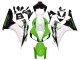 2006-2007 Honda CBR1000RR Motorcycle Fairing - White Green Glossy Black Canada for Sale