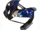 2005-2006 Honda CBR600RR Motorcycle Fairing - Glossy Black Blue Flame Canada for Sale