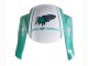 2005-2006 Honda CBR600RR Motorcycle Fairings - Light Green White Glossy Black Joe Rocket Canada for Sale