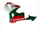 2005-2006 Honda CBR600RR Motorcycle Fairings - Red White Green Canada for Sale