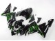 2004-2005 Kawasaki ZX10R Motorcycle Fairings - Black with Green Flame Ninja Canada for Sale