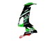 2008-2010 Kawasaki ZX10R Motorcycle Fairings - Green White Red Black Monster Elf 66 Canada for Sale
