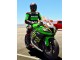 2011-2015 Kawasaki ZX10R Motorcycle Fairings - Green Yellow White Black Red Pirelli Canada for Sale