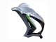 2016-2020 Kawasaki ZX10R Motorcycle Fairing - Silver Green Black Canada for Sale