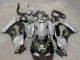 2021-2025 Kawasaki ZX10R Motorcycle Fairings - Grey Matte Black Green White Elf Snow Monster Canada for Sale