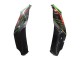 2021-2025 Kawasaki ZX10R Motorcycle Fairings - Green Black Red Canada for Sale