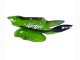 1998-1999 Kawasaki ZX6R Motorcycle Fairings - Green White Blue Silver Glossy Black Canada for Sale