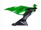 2019-2022 Kawasaki ZX6R Motorcycle Fairings - Green Matte Black Canada for Sale