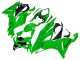 2019-2022 Kawasaki ZX6R Motorcycle Fairings - Green Canada for Sale