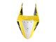 2019-2021 Yamaha YZF R3/R25 Motorcycle Fairings - Yellow White Black Stripe Canada for Sale