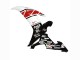 2002-2003 Yamaha YZF 1000 R1 Motorcycle Fairings - White Red Black Castrol Canada for Sale