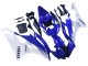 2006-2007 Yamaha YZF 600 R6 Motorcycle Fairings - White Blue Black Canada for Sale