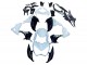 2013-2018 Kawasaki Z800 Motorcycle Fairings - White Glossy Black Green Canada for Sale