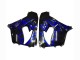 2000-2001 Kawasaki ZX9R Motorcycle Fairings - Glossy Black Blue Flame White Canada for Sale