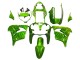 2000-2001 Kawasaki ZX9R Motorcycle Fairings - Green Flame Canada for Sale