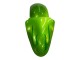2000-2001 Kawasaki ZX9R Motorcycle Fairings - Green Flame Canada for Sale