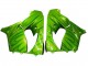 2000-2001 Kawasaki ZX9R Motorcycle Fairings - Green Flame Canada for Sale