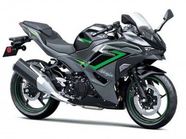2024-2025 Kawasaki Ninja 500 EX500R Motorcycle Fairings - Black Grey Green Canada for Sale