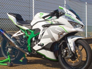2019-2025 Kawasaki ZX4R ZX-4RR Motorcycle Fairings - White Silver Green Canada for Sale