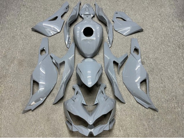 2019-2025 Kawasaki ZX4R ZX-4RR Motorcycle Fairings - Glossy Nardo Grey Canada for Sale