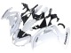 2012-2016 Kawasaki EX650 Motorcycle Fairings - White Black Canada for Sale