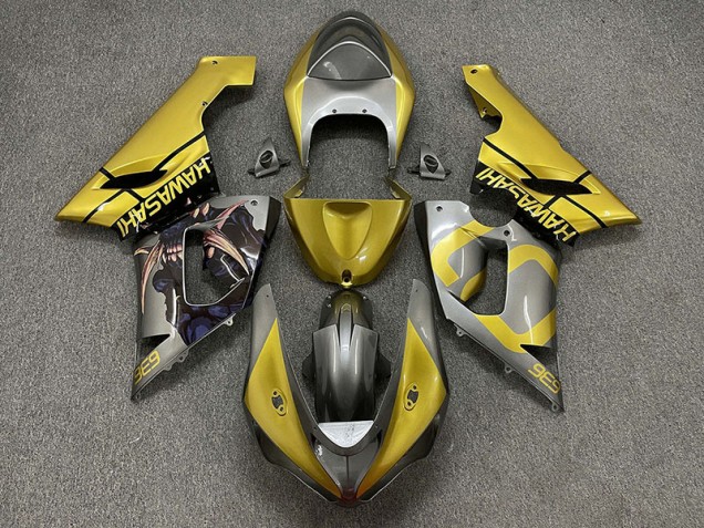 Gold and Silver 2005-2006 ZX6R Fairings Gold and Silver 2005-2006 ZX6R Fairings