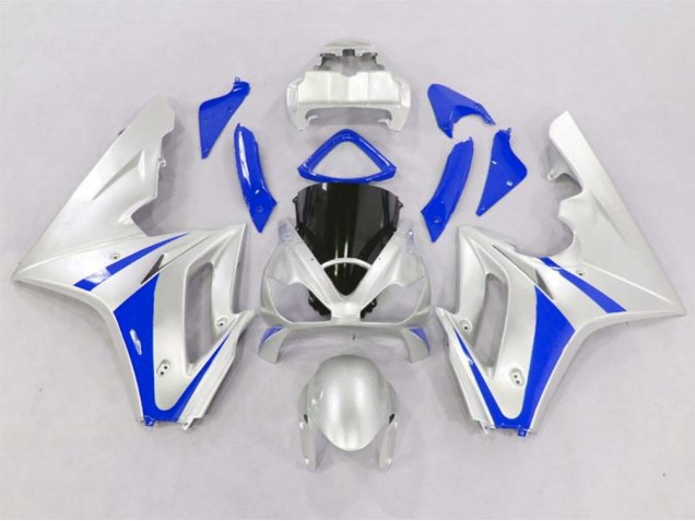 Silver and Blue 2006-2008 Daytona 675 Fairings Silver and Blue 2006-2008 Daytona 675 Fairings